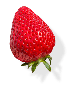 株式会社AZ（AZ STRAWBERRY） お知らせ いちご