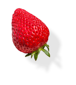 株式会社AZ（AZ STRAWBERRY） お知らせ いちご