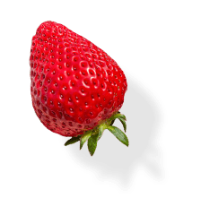 株式会社AZ（AZ STRAWBERRY） 商品について いちご