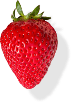 株式会社AZ（AZ STRAWBERRY） 商品について いちご