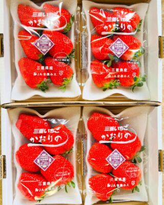 ありすいちご ありす🍓🎂ミスいちごIDOL - CHEERZ -