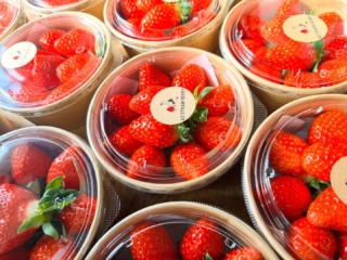 AZ STRAWBERRY🍓 | AZ STRAW BERRY（アズストロベリー）